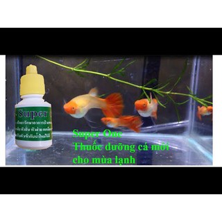 Nước dưỡng cá Super One Thái Lan 15ml  - Hàng Công Ty