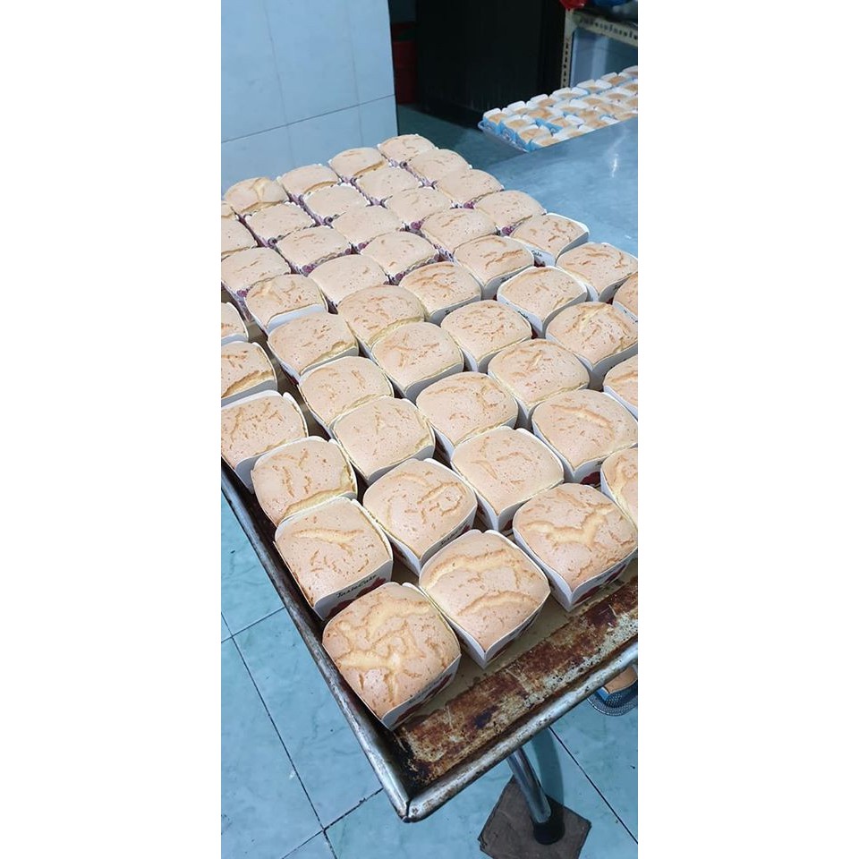 LY CUPCAKE VUÔNG - ĐA DẠNG HỌA TIẾT