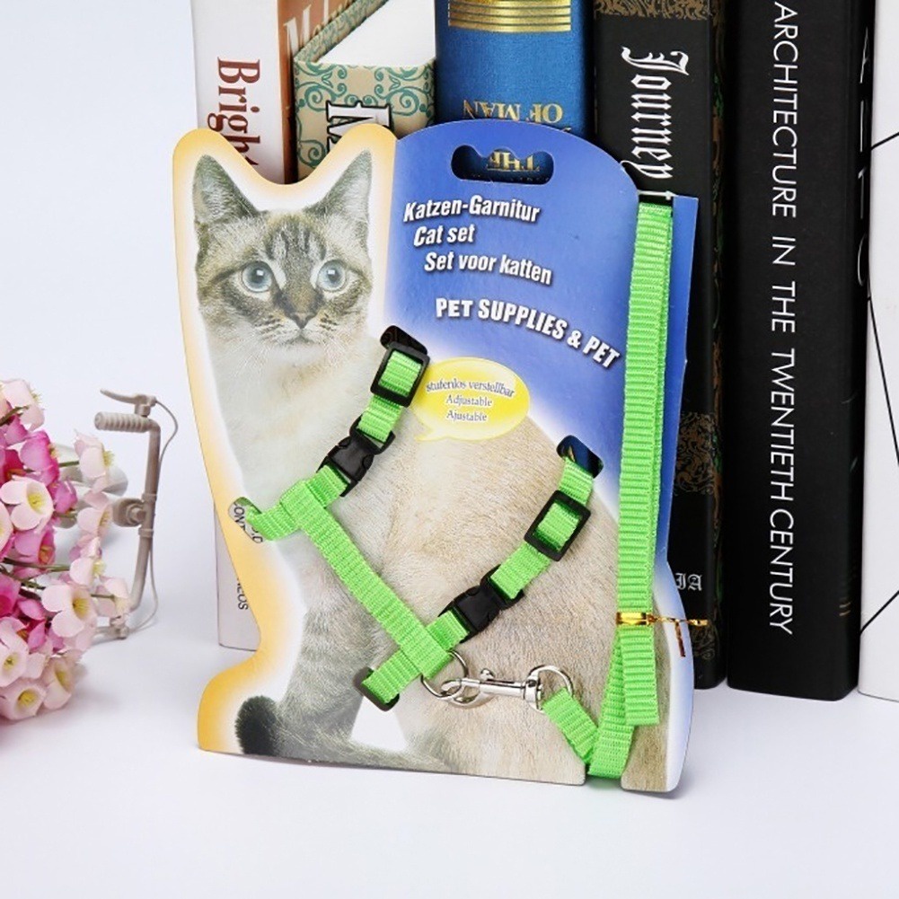 Dây Đeo An Toàn Cho Thú Cưng