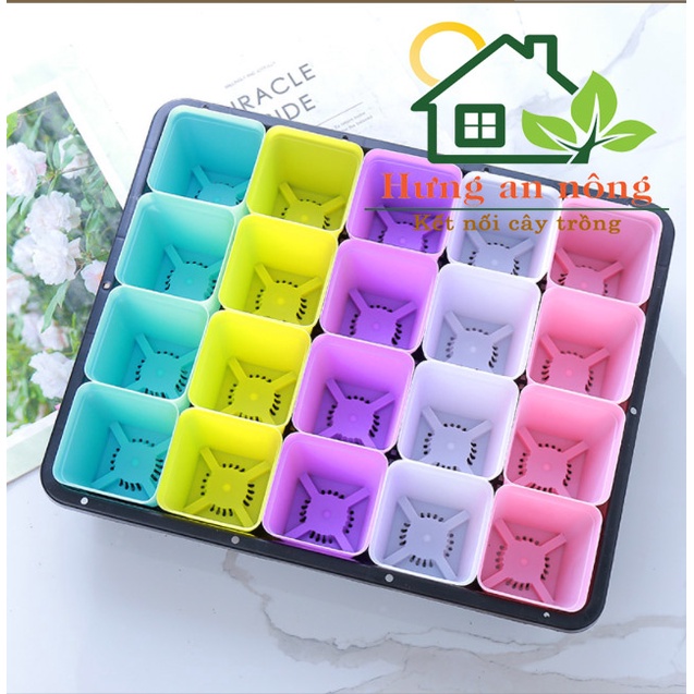 CVPPM7L3 - 50 chậu vuông trồng sen đá bonsai xương rồng có 7 màu chọn 7x7x7,5cm