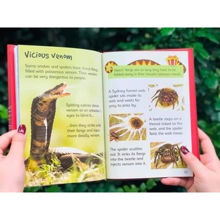 Bộ nhập 10q - Usborne Biginners Animals