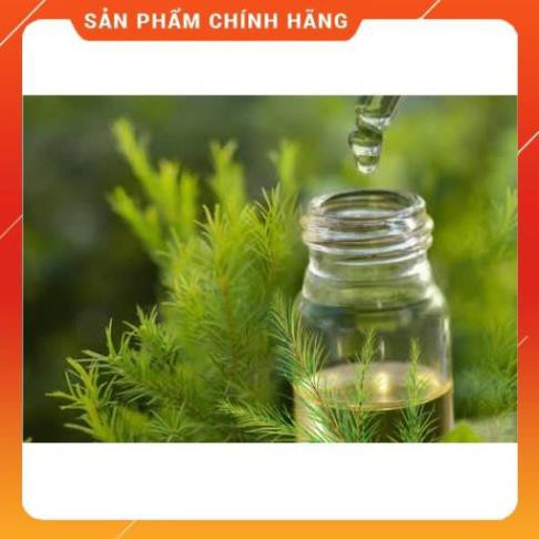 Tinh Dầu Tràm Huế chống Gió, Phòng Cảm Cúm Cho Trẻ Nhỏ (Chai 100ml) [Giá Sập Sàn]