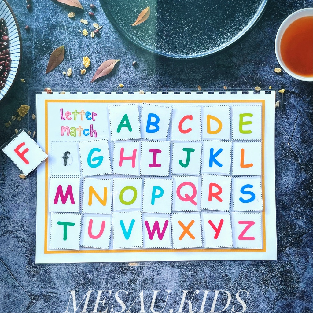 Học Liệu Bóc Dán Montessori MESAUKIDS Đồ Chơi Giáo Dục Đồ Chơi Phát Triển Trí Tuệ Thông Minh Cho Bé Nhiều Chủ Đề