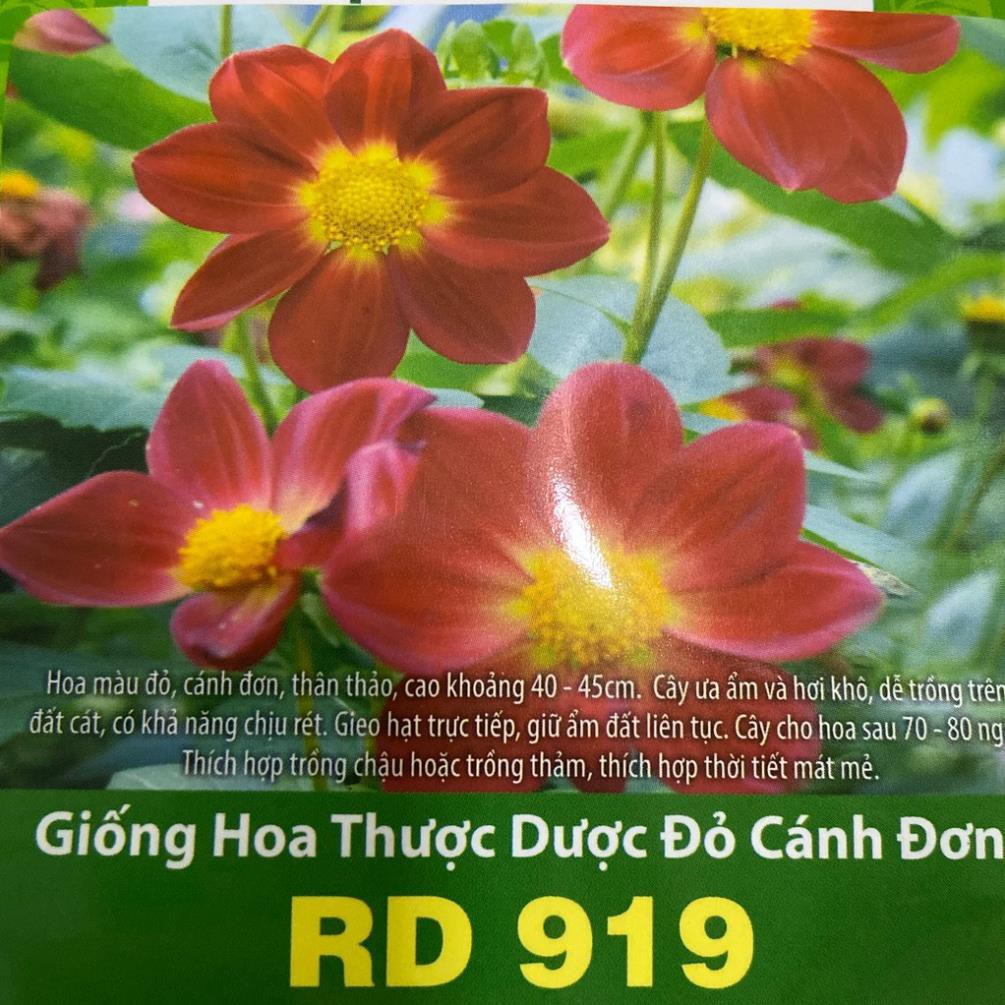 Hạt Giống Hoa Thược Dược Đỏ Cánh Đơn 0.1gr