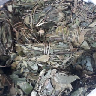 1kg Ngọn chè vằng sẻ cuộn