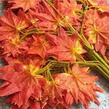 Combo 100 cành lá phong đỏ làm cây phong đỏ trang trí siêu đẹp