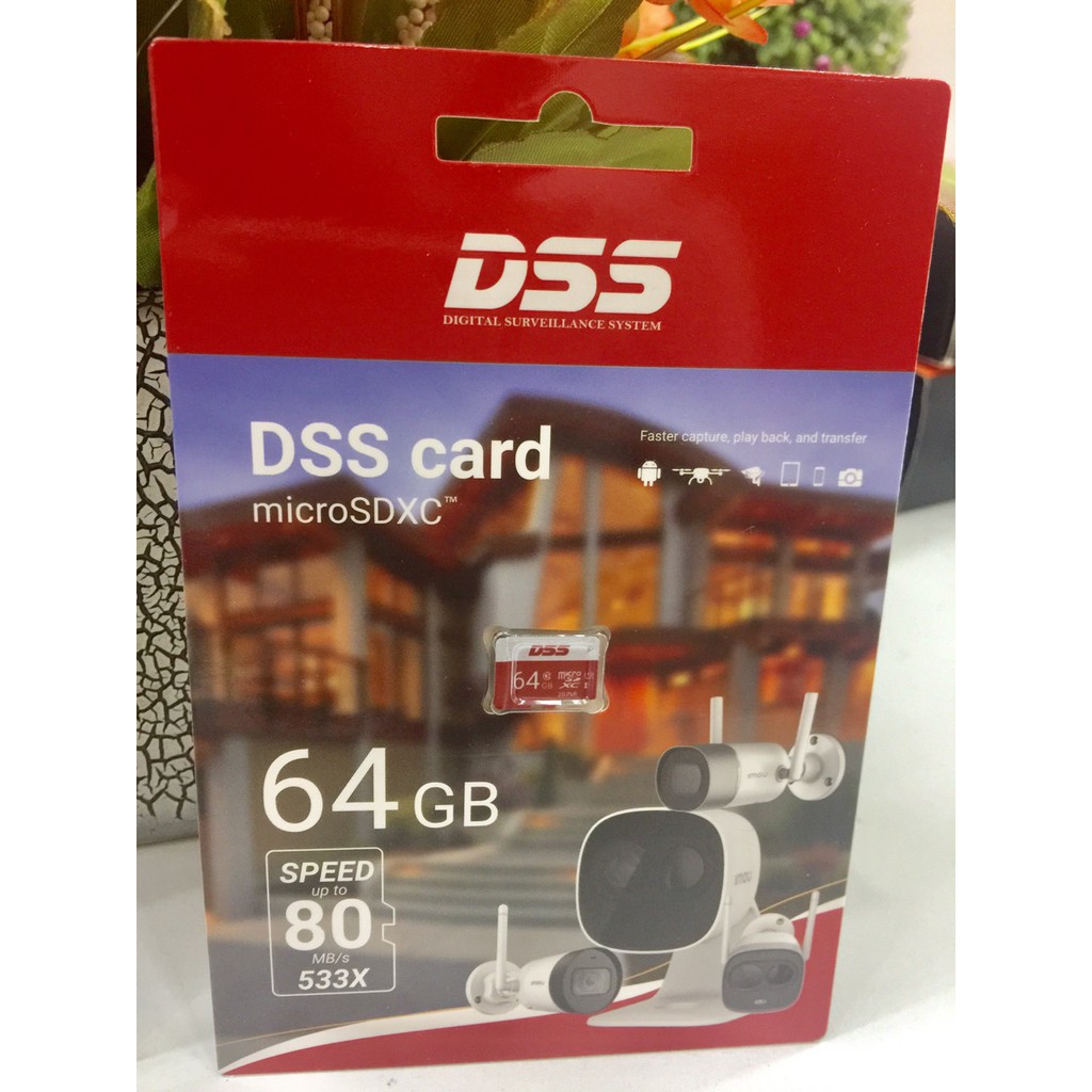 Thẻ nhớ 64Gb DSS Chuyên Dụng Cho Camera- Bảo Hành Chính Hãng Lỗi 1 Đổi 1 Trong 12 Tháng | BigBuy360 - bigbuy360.vn