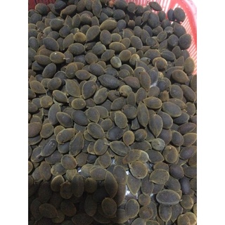 1kg say rừng Gia Lai cuối mùa to ngọt
