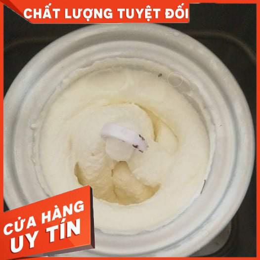 COMBO Máy làm bánh mì tự động 3trong1 Petrus PE9600+ âu kem. Phiên bản cao cấp,máy nhồi, ủ,nướng bánh mì tự động