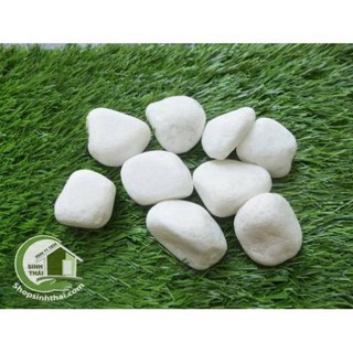 1kg đá sỏi màu trắng lớn - đá  trang trí trồng cây - trang trí bể cá - sân vườn