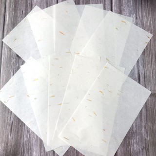 Giấy lụa ép hoa lá set 10 tờ (006)