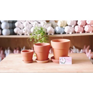 Chậu đất nung gờ cao kèm dĩa lót