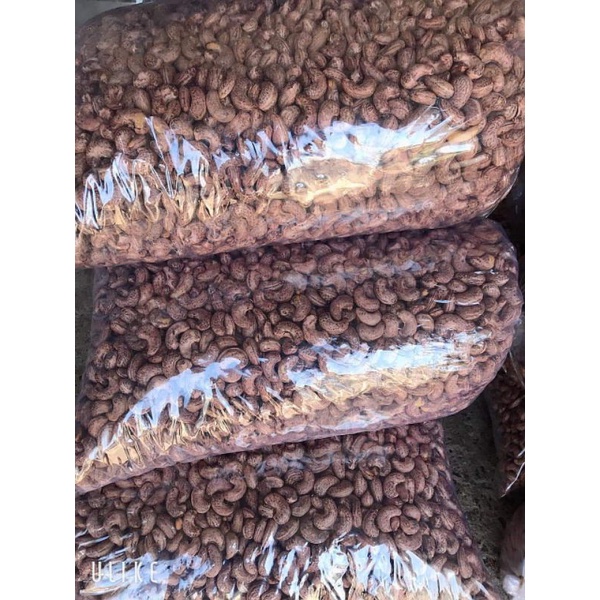 Hạt điều Bình Phước nhiều loại