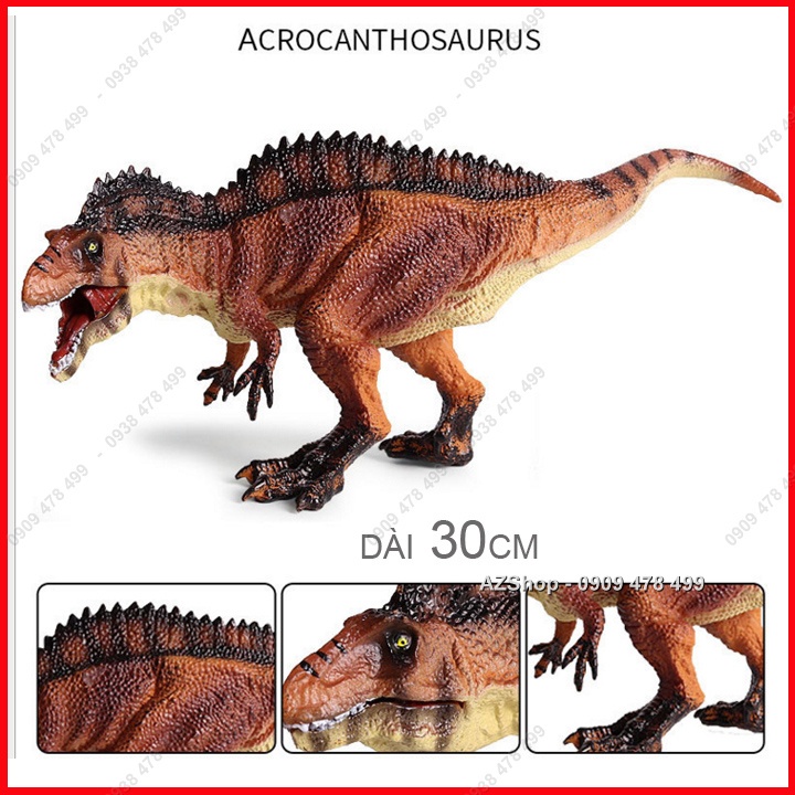 Mô Hình Khủng Long Ăn Thịt Acrocanthosaurus - 7716.1