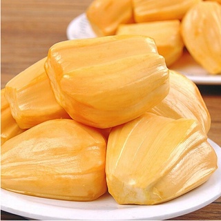 Cây Mít Thái Ra Quả Siêu Sớm Trái To Ngọt Đậm Ít Hạt Dễ Trồng Sinh Trưởng Nhanh Cho Năng Suất Cao