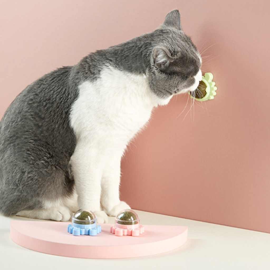 Bóng Catnip Bạc Hà Đồ Chơi Gắn Tường Kèm Hộp Đựng