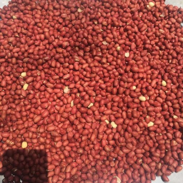 1kg lạc đỏ