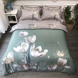 [HÀNG CAO CẤP] SET CHĂN GA GỐI COTTON LỤA HÀN QUỐC
