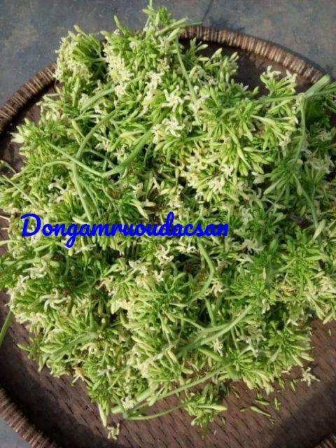 Hoa đu đủ đực sấy khô sạch sẽ 1kg