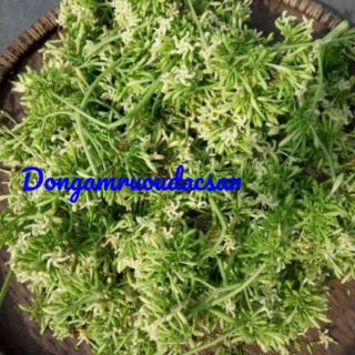 Hoa đu đủ đực 1kg