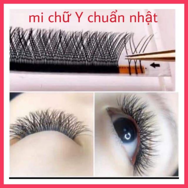 Mi chữ Y chuẩn đẹp cong C tự nhiên hộp 10 line