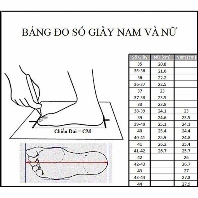 Giày thể thao V OLD SKOOL nam nữ thời trang phong cách Classic dễ phối đồ, giày sneaker nam nữ full box