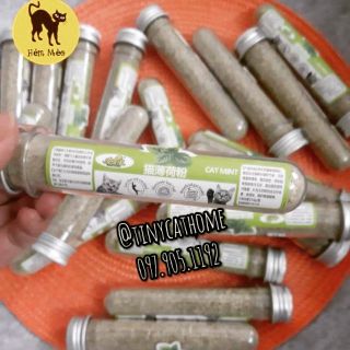 Cỏ bạc hà Catnip Catmint cho mèo
