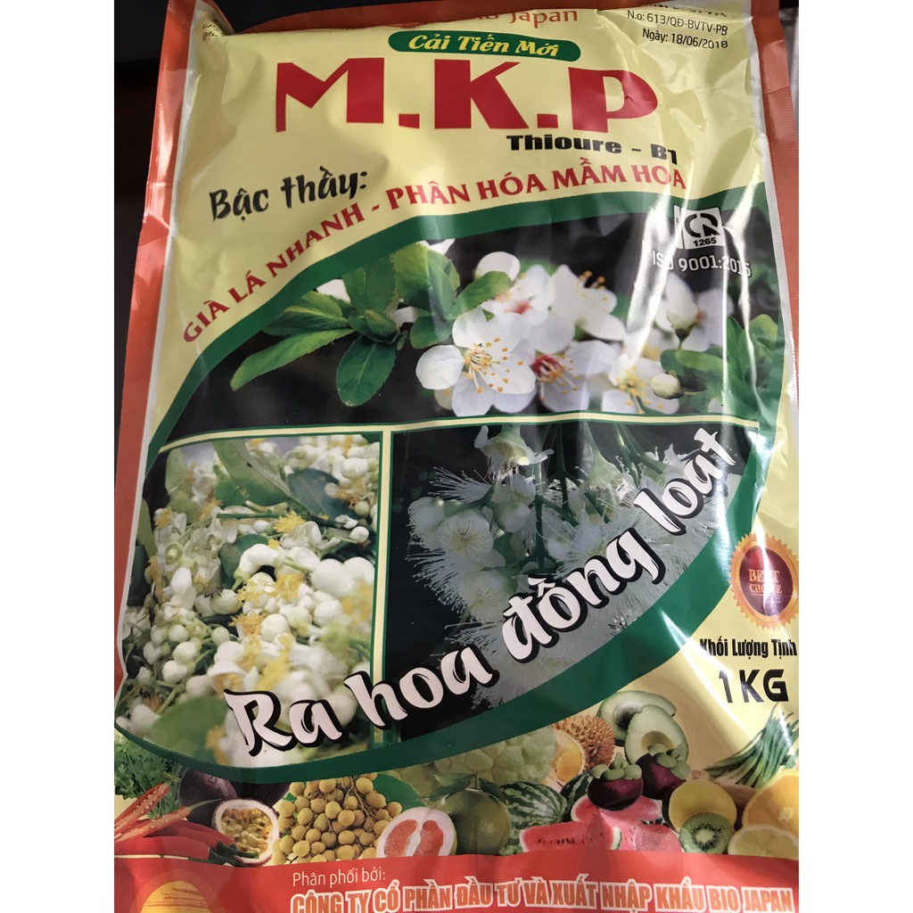 MKP 1KG - QUẢ CẦU LỬA 007 - BIO JAPAN