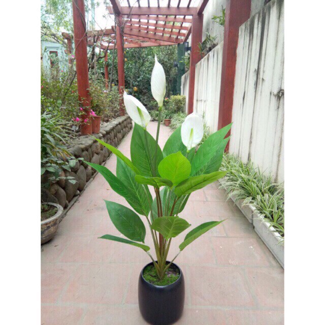 Cây Lan Ý giả 95cm trang trí / nhiều màu/