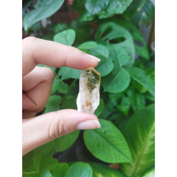 Mầm tinh thể tự nhiên Citrine hỗ trợ thanh tẩy tarot, yoga, làm trang sức, vòng tay, vòng cổ, trang trí...
