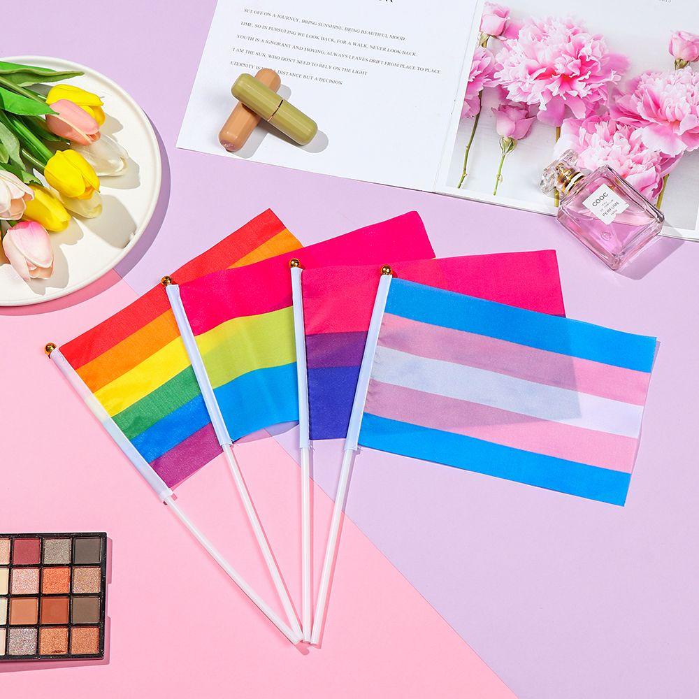 Set 10 Lá Cờ Cầu Vồng LGBT Chất Liệu Polyester