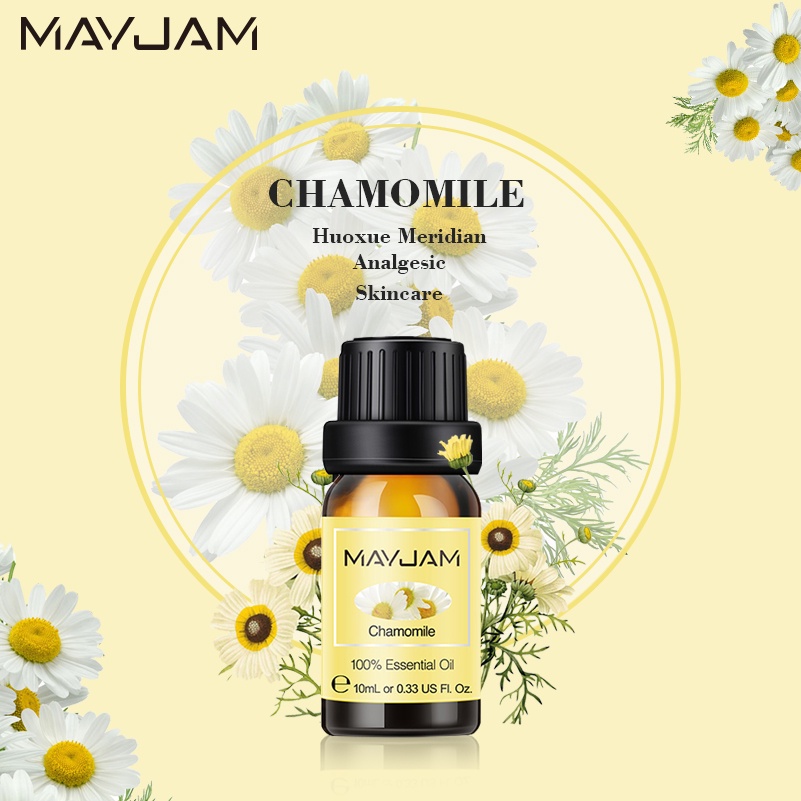 Tinh Dầu Chiết Xuất Hoa Cúc Tự Nhiên Mayjam 10ml chamomile rosemary lemongrass for room aromatherapy