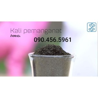 Thuốc tím sát trùng hồ cá