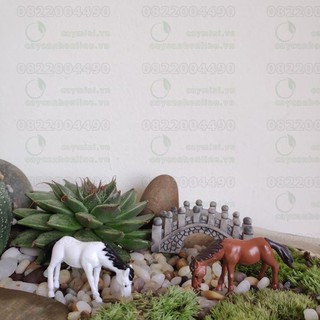 Ngựa - Đồ trang trí tiểu cảnh, hồ cá, sân vườn - Làm terrarium