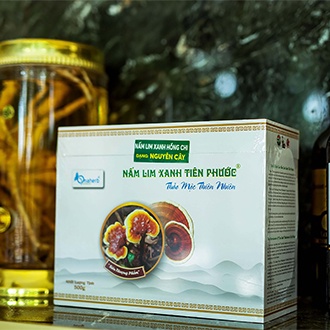 Nấm Lim Xanh Tiên Phước - Nguyên cây 500GR