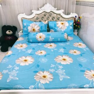 Cotton Hàn Quốc