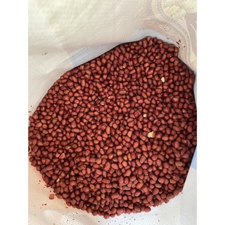 1 Kg lạc đỏ thơm ngon - Lạc đỏ nhỏ quê chắc hạt