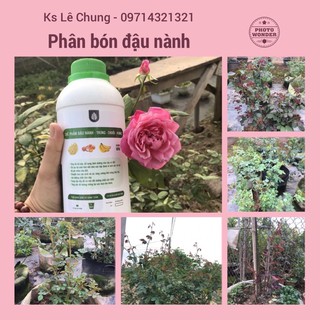 Phân bón hữu cơ đậu nành - trứng - chuối - humic