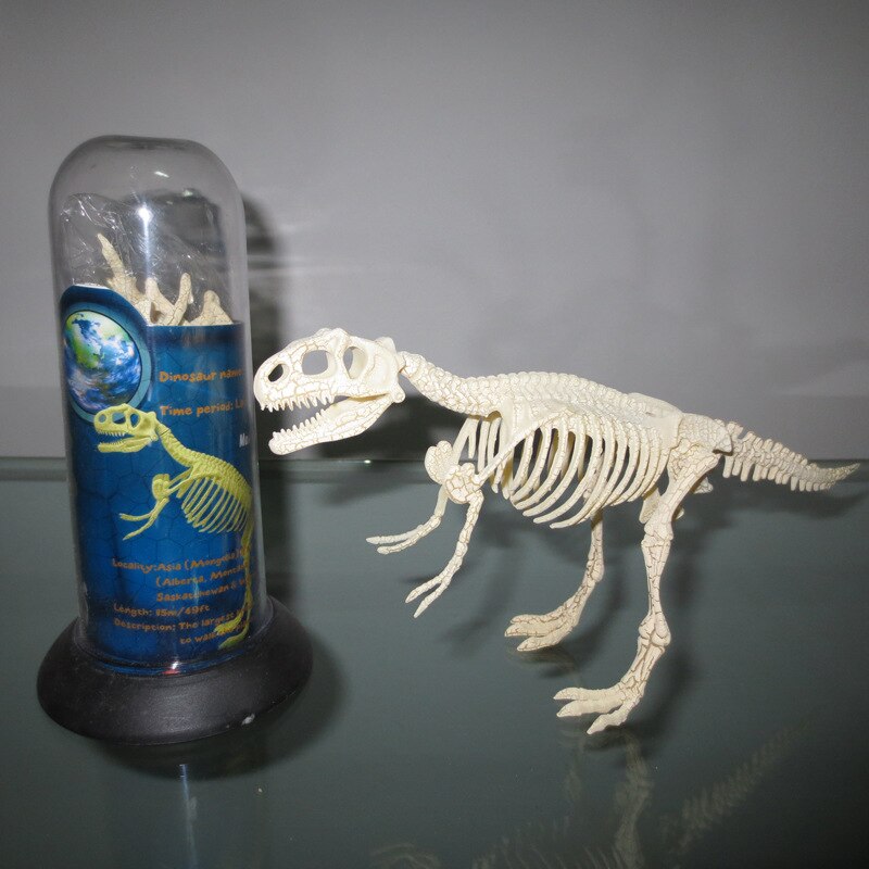 FOSSIL 1 Mô Hình Xương Khủng Long Hóa Thạch Tyrannosaurus Rex Stegosaurus Cho Bé