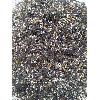 5kg đất trồng sen đá, xương rồng