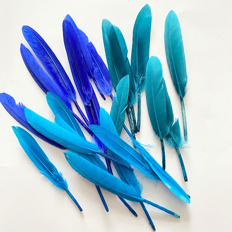 5 lông vũ xanh 10-20cm nguyên liêu làm điểm thúy làm trâm làm trang sức cổ trang