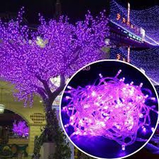 Đèn Led Dây Chớp Nháy - Dây 5m