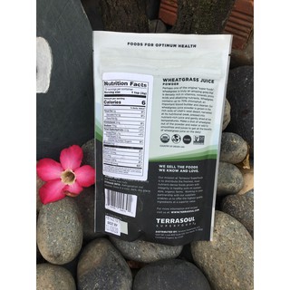 Bột Nước Ép Cỏ Lúa Mì Hữu Cơ Terrasoul 141g ( Organic Wheat Grass Juice Powder )