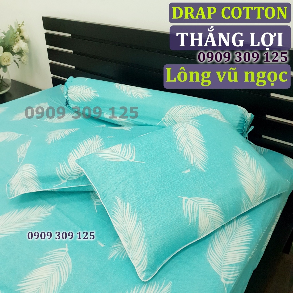 (RẺ VÔ ĐỊCH) bộ drap cotton Thắng lợi 100% LÔNG VŨ NGỌC
