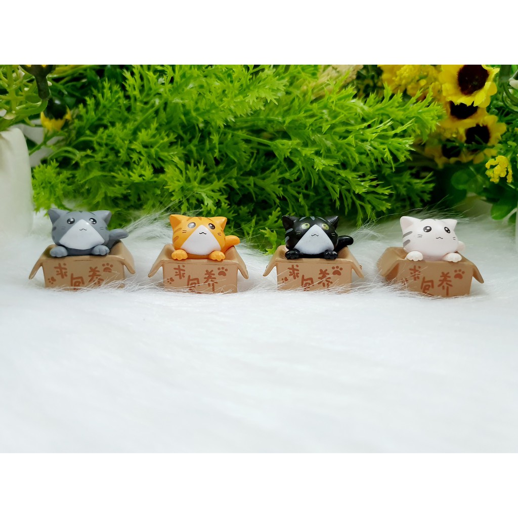 Bộ 4 Tượng Mèo Nhật Bản May Mắn ngồi trong hộp xinh xắn ( Hình Thật - Video Thật )