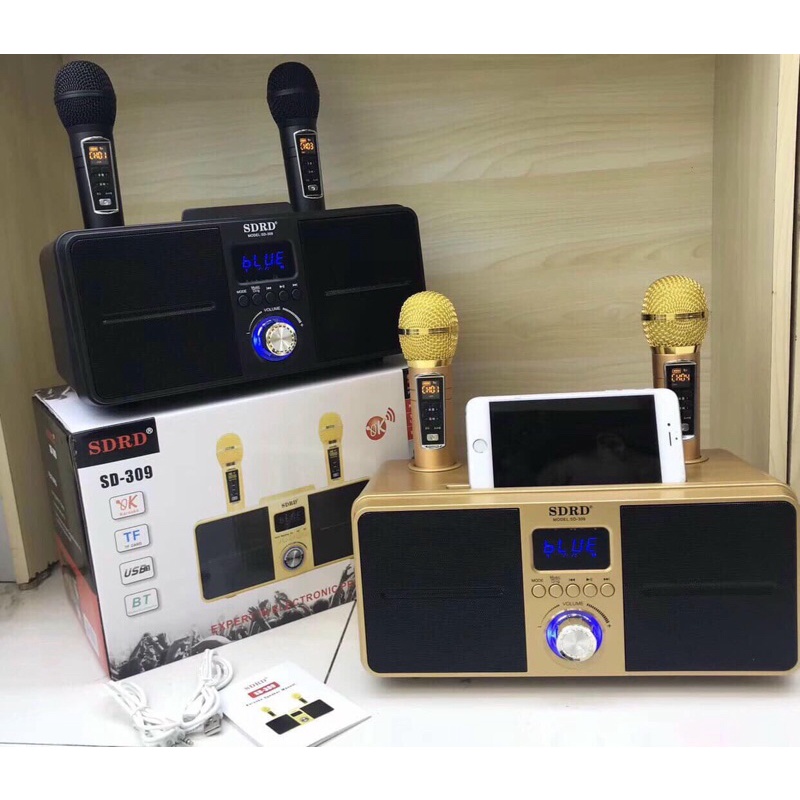 Loa Karaoke Bluetooth Xách Tay Di Động,Tặng Kèm 2 Micro Không Dây Cao Cấp