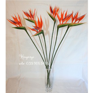 Hoa thiên điểu - hoa giả