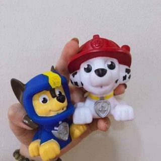 Set 10 chú chó cứu hộ