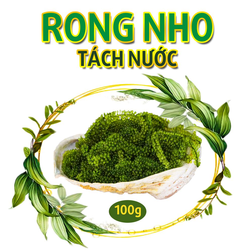 [Mã BMBAU50 giảm 7% đơn 99K] Rong Nho Tách Nước - Vương Quốc Tỏi - Túi 100g nở ra 300g, Thực phẩm cho sức khoẻ