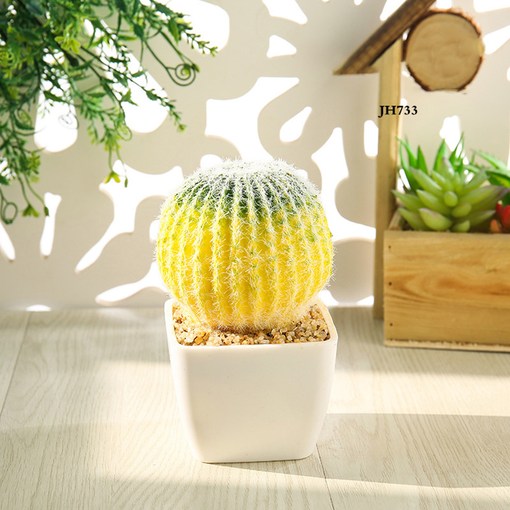 Chậu cây xương rồng giả để trang trí nội thất